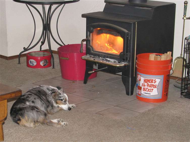 He likes to lay by the fire in winter.